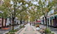 design modern urban streetscapes, plazas, and public spaces
