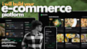 build your ecommerce website, payment gateway, ai features