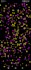 create stunning particle name animation videos with glowing text effects