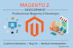 develop and fix magento 2 extensions and modules professionally