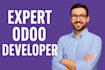 build an expert odoo website quickly