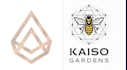 create a modern geometric 3d logo with polygon elements