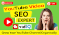 do best youtube video SEO expert and yt channel growth manager