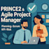 be your agile IT project manager
