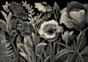 illustrate botanical and animal linocut illustration