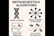 do optimization by metaheuristics with free follow ups