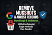 delete negative links, remove mugshots, cases, news articles and blogs in google