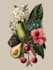 paint watercolour botanical illustrations