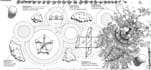 make landscape masterplans, sections, and site plans