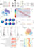 perform rnaseq, atacseq, or scrnaseq analysis with complete bioinformatics