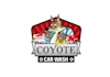 create captivating a playful car wash logo
