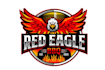 create high quality and beautiful eagle logo design