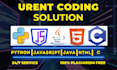 do urgent coding assignments,projects in python, c, java,html