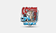 create consulting a playful car wash logo