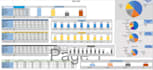 create professional excel chart,graph,pivot tables,dashboard