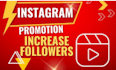 do organic instagram followers from real american