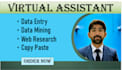 be your virtual assistant for data entry data mining, web research, copy paste