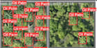 do computer vision, image processing, opencv and deep learning in python