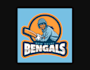 make looks nice cricket sports brand logo