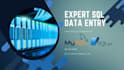 expert sql data entry, database management, and query writing