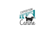design elegant dog training business logo