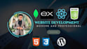 build, rebuild and customise websites as full stack, frontend developer