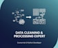 do data processing and cleaning with python