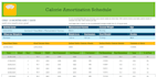 build custom excel templates and tools