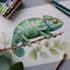 draw animal and botanical illustrations