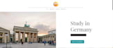 design a professional wix website with responsive design