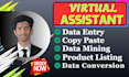provide accurate data entry, data collection and web research support