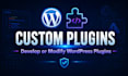 develop custom wordpress plugins or modify existing plugins