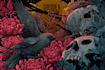 draw detailed dark art illustration