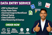 do fast and accurate data entry and copy paste work