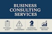 provide financial consulting, internal audit, business review and data analysis