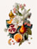 line art illustrations, botanical flowers, plants