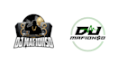 design high quality dj logo