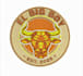 create professional embroidery designs wilcom emb dst etc