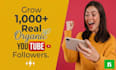 get fast organically 1,000 youtube followers guarantee