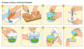 draw guide instruction manual step by step digital handrawn illustration