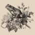 draw animal and botanical illustrations