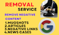 remove mugshots articles false news links cases delete negative links on google