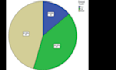 do statistical analysis by using spss