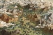 make fantasy map illustration