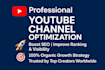 professionnaly optimized your youtube channel growth