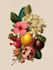 paint watercolour botanical illustrations