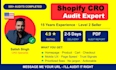 do a shopify cro audit and conversion rate optimization for your store