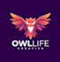 design an eagle, falcon, owl, animal logo and bird