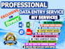 handle the data, analyze it and manage the accounts