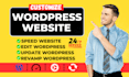 edit, update, audit and speed optimize your wordpress website